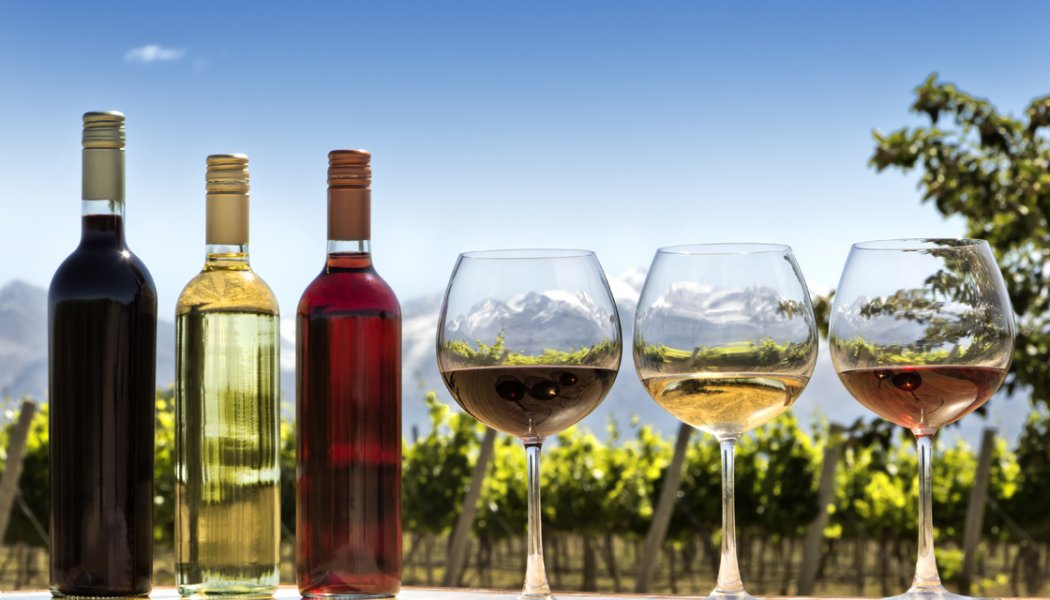 Immagine The promotion of the wine market in New Zealand